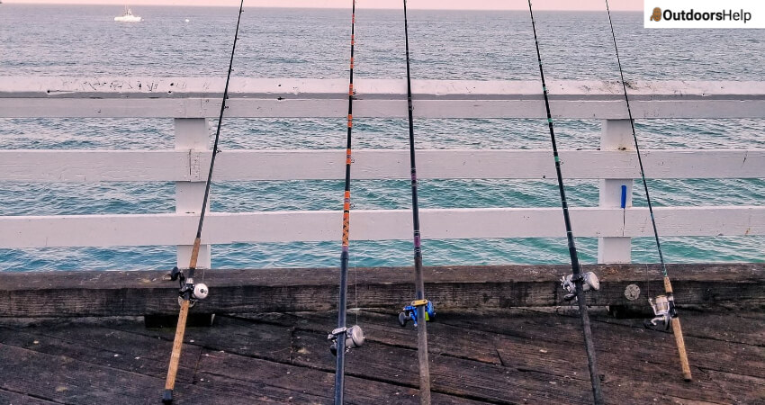 Best Fishing Rod