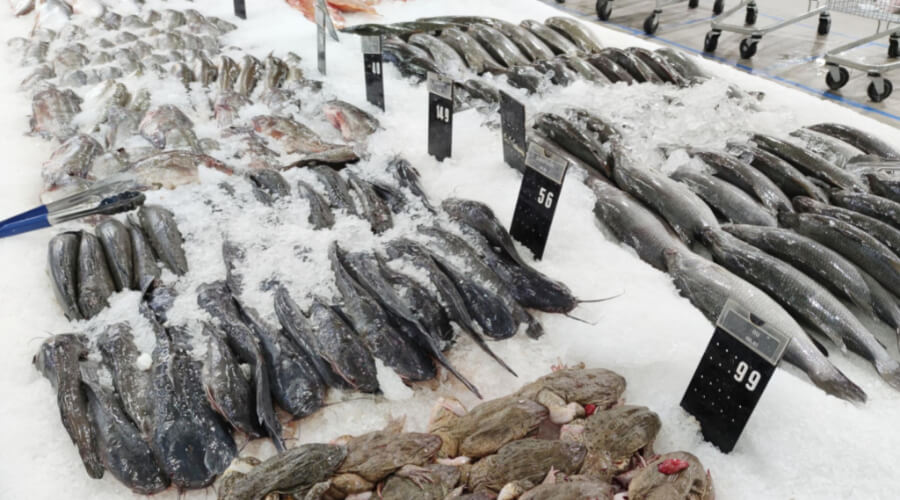 Step By Step Guide To Establishing A Commercial Fishing Business