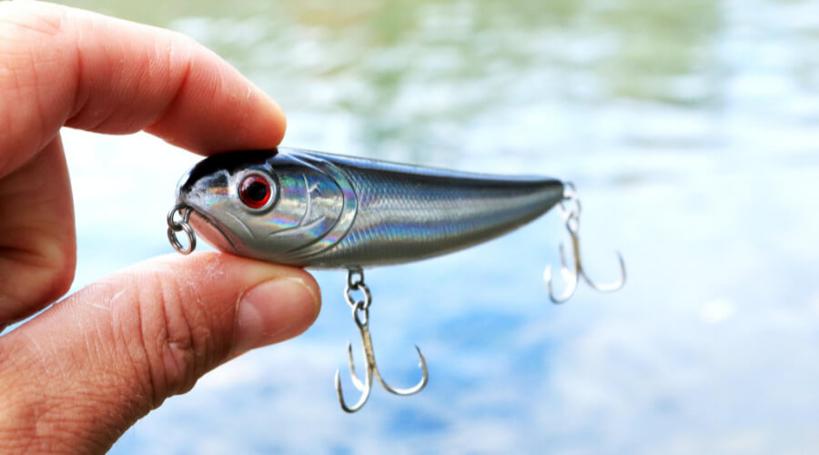Best Baits For Fishing In Winter