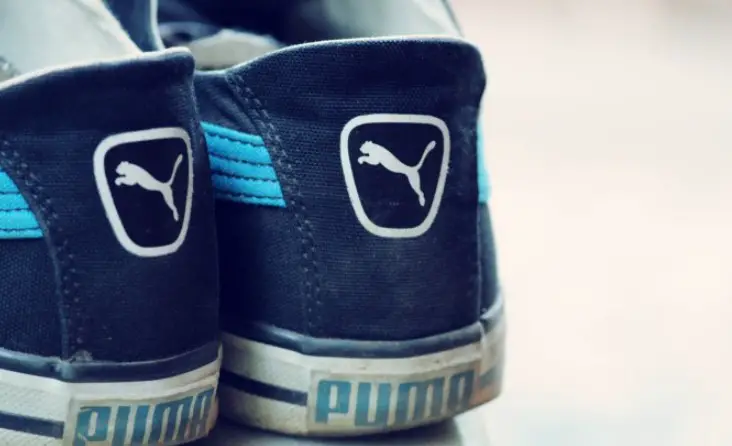 What Does the Puma Logo Mean